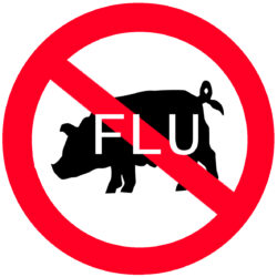Flu swine sign influenza sick sickness pig 2010 symptoms vengeance returning warning hiv cough stock freeimages coming could back