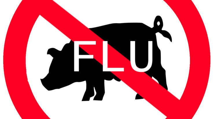 Flu swine sign influenza sick sickness pig 2010 symptoms vengeance returning warning hiv cough stock freeimages coming could back